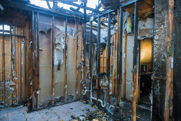 Professional Smoke Damage Removal technician working in Waimanalo, HI